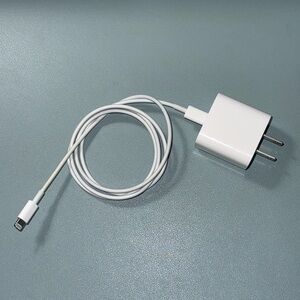 Apple iPad Lightning Charger